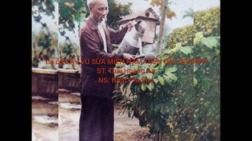 Ca cổ CÂY VÚ SỮA MIỀN NAM TRÊN ĐẤT BA ĐÌNH| ST: Thái Hoàng An| NS: Nhất Phương.