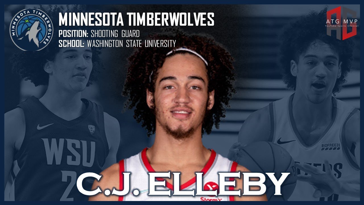 MINNESOTA TIMBERWOLVES: C.J. Elleby ᴴᴰ