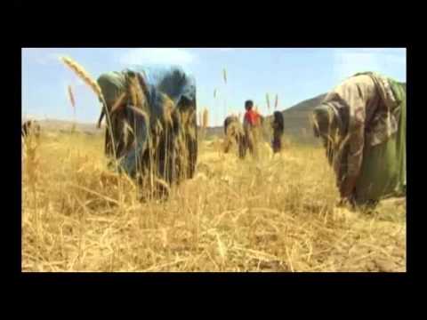 زاگرس استان چهار محال بختیاری