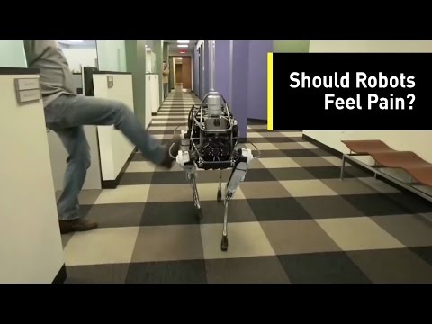 Video: Why Would Scientists Want To Teach Robots To Feel Pain? - Alternative View