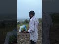 DAY 89✅/365 zero Budget farming challenge, Animal feed ready Jwar ki chari teyar #trending #viral