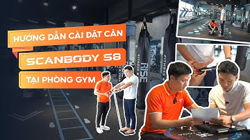Hướng Dẫn Cài Đặt Cân Phân Tích Cơ Thể Scanbody S8 Tại Phòng Gym