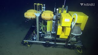 Deep-sea rover provides long-term data on carbon cycle and climate change