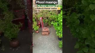 Phool Maangu Na Bahar Masngu bollywood song