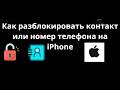 Как разблокировать контакт или номер телефона на iPhone - Полный гайд