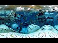 NASA’s Neutral Buoyancy Laboratory 360 Tour