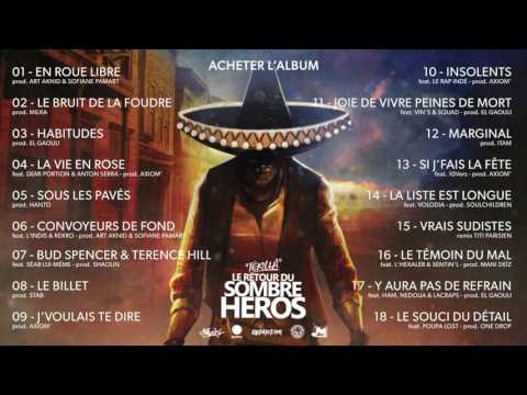 Si J'fais La Fête Video