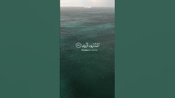 قَالَ رَبِّ اشْرَحْ لِي صَدْرِي | سورة طه | القاري: #محمدايوب