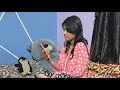 live Unboxing flipkart scam #shorts #beanbag #aprilfool