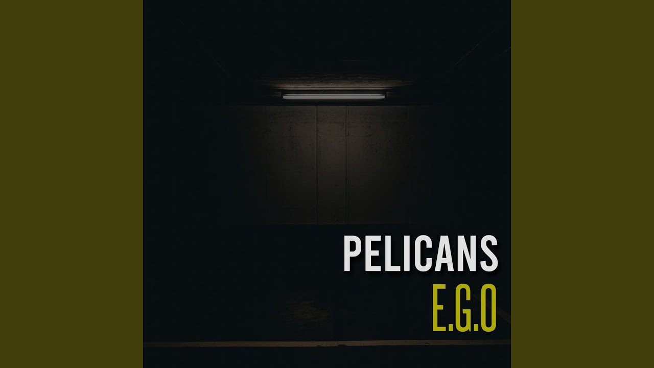 在 YouTube 上观看 Pelicans 在 YouTube 上观看 Pelicans