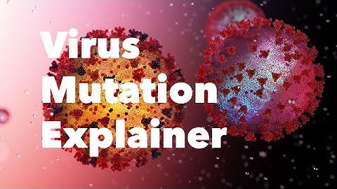Why Do Virus Mutations Worry Scientists?