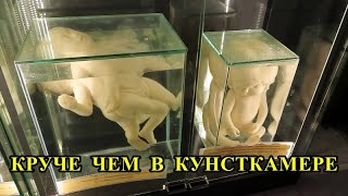 КРУЧЕ ЧЕМ В КУНСТКАМЕРЕ / COOLER THAN IN THE KUNSTKAMMER