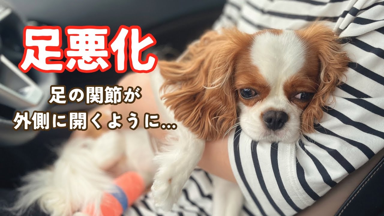 #47 長らく投稿出来ず すみませんでした。