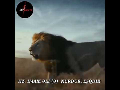 HZ.İMAM ƏLİ (Ə) | IMAM ALİ (A) | ƏHLİ-BEYT | Qədir-Xum | Dini Video | Dini Status | #shorts