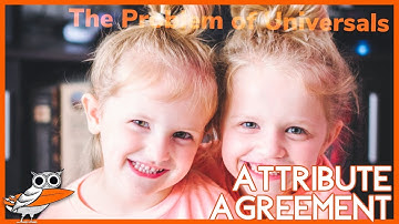 What is attribute agreement?