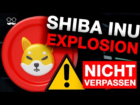 Video: 21 Unbestreitbare Wahrheiten Nur Shiba Inu Welpen Eltern verstehen