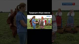 Традиционный сбор в маленьких поселках