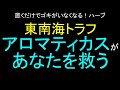 東南海トラフ。アロマティカス食べて生き延びろ