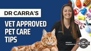 7 Practical Pet Care Hacks Every Owner Needs