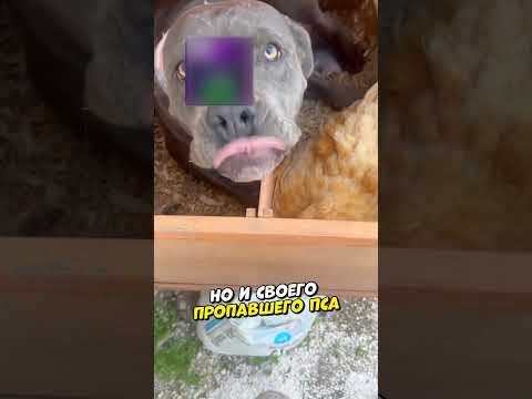 Им просто нужен был охранник 😂