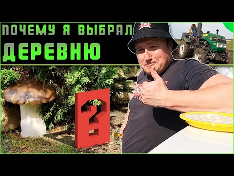 Будни в деревне.  Что для меня деревня? Почему деревня а не город?