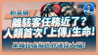 離駭客任務近了？人類首次「上傳」生命？果蠅已在虛擬世界中持續運作大腦！
