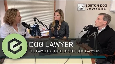 The PAWEDcast: Pet Lawyers