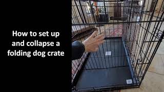 How to set up and collapse a wire dog crate