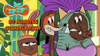 Zip Zip *Sam the boar (dressed like a cat)* Compilation 80min HD [Official] Cartoon for kids