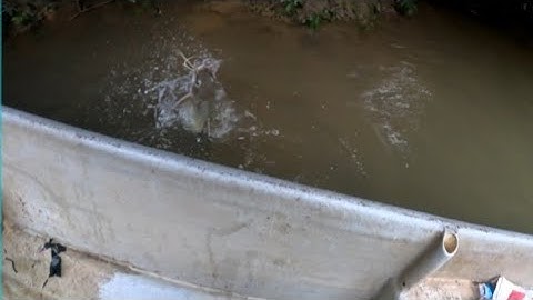 Tajur baung sg kenong ada barang sado