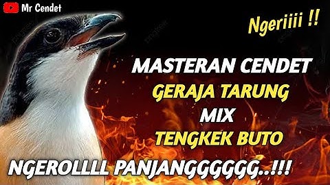 MASTERAN CENDET || GEREJA TARUNG MIX TENGKEK BUTO NGEROLL PANJANGGGGGG..!!!