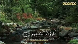 SALIM BAHANAN | SURAH AT-TAKASUR | BEAUTIFUL RECITATION |