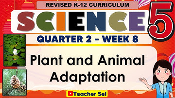 Science 5 Quarter 2 Week 8 Revised K-12 Plant and Animal Adaptation