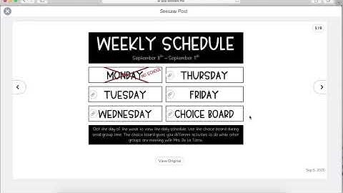 Seesaw Weekly Schedule
