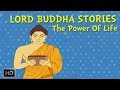 Lord Buddha Stories - The Power of Life