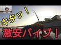 炸裂！激安バイブで釣ってみた！