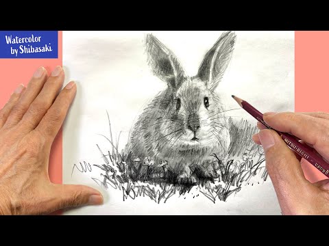 [Eng sub] How to Draw a rabbit with a pencil | Step by Step  #StayHome