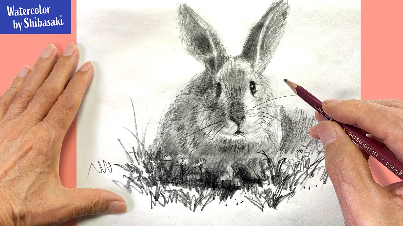Eng Sub How To Draw A Rabbit With A Pencil Step By Step Stayhome Youtube
