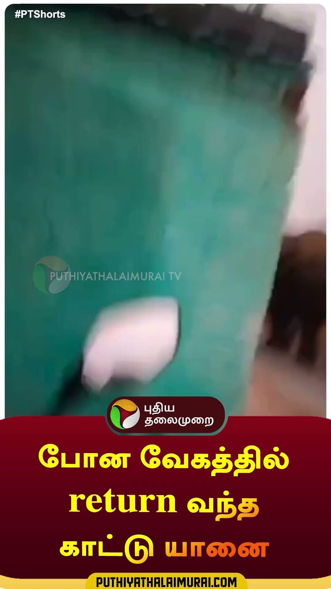 போன வேகத்தில் return வந்த காட்டு யானை | #shorts | #elephant | #hosur