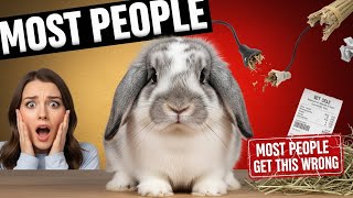 10 Things You MUST Know Before Getting a Pet Rabbit (Most People Get This Wrong!) Wealth