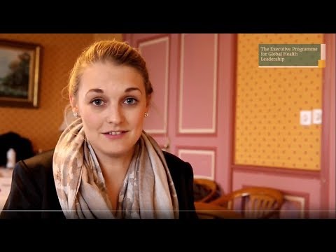The Executive Programme