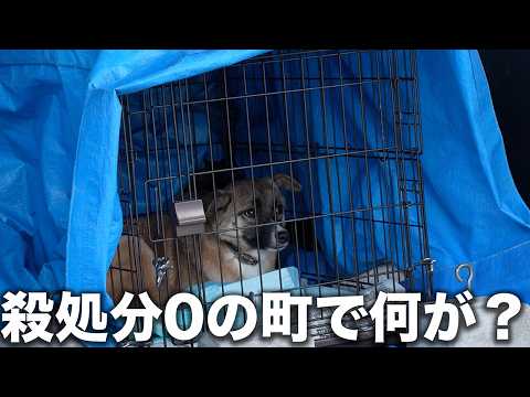 The first abnormality in 10 years?] What happened? First rescue in