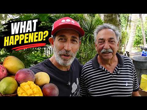 He Barely Touches His Fruit Trees… LOOK What Happened!