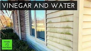 How To Clean Green Algae On Vinyl Siding | No Pressure Washer