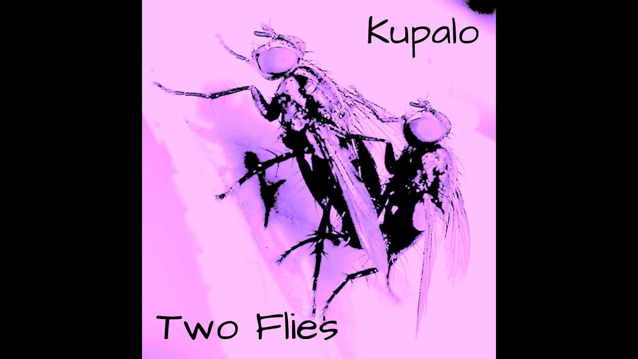 Watch Kupalo - Two Flies on YouTube Watch Kupalo - Two Flies on YouTube