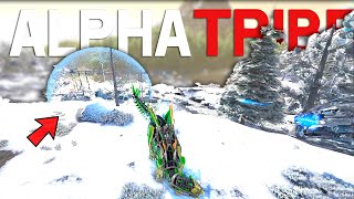 We Countered Alpha Tribes Fob In ARK Road To Alpha E11