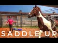 First Time Under Saddle | 2019 Mustang TIP Challenge