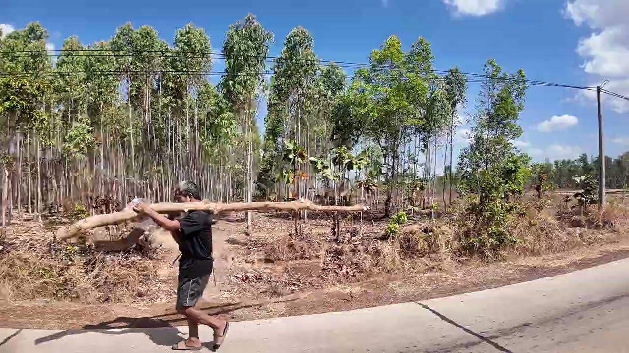 Sang nhượng 700ha đất trống ôm đường bê tông giá 65/1ha ai thiện trí LH 0941724313(0977669965)