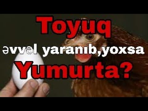 Video: Əvvəl Nə Gəldi - Yumurta Və Ya Toyuq
