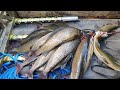 Лучшая рыбалка с АЭРОЛОДКОЙ /Горная река, золотой корень и Сибирский хариус. Аэроглиссер через завал